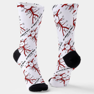 Mein Zirkel der anatomischen Blutzirkulation bei W Socken