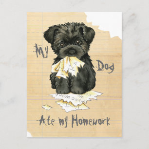Meine Affenpinscher Ate Meine Hausaufgaben Postkarte