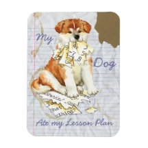 Meine Akita hat meinen Lektionsplan gelesen