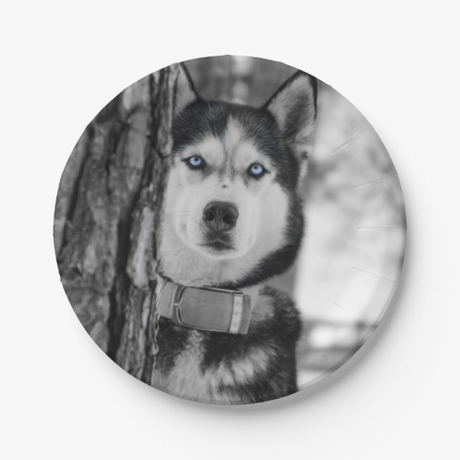 Meine Baby-blauen Augen Pappteller (Vorderseite)