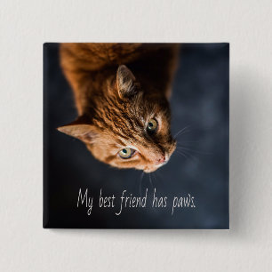 Meine beste Freundin hat Pfoten, Cat Kitten Niedli Button