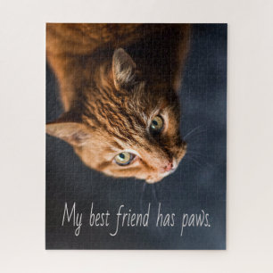 Meine beste Freundin hat Pfoten, Cat Kitten Niedli Puzzle