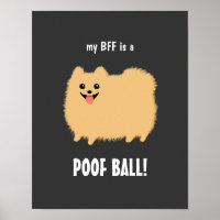 Meine BESTE FREUNDIN ist ein POOF-BALL-Spitz - ind