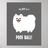 Meine BESTE FREUNDIN ist ein POOF-BALL-Spitz - ind