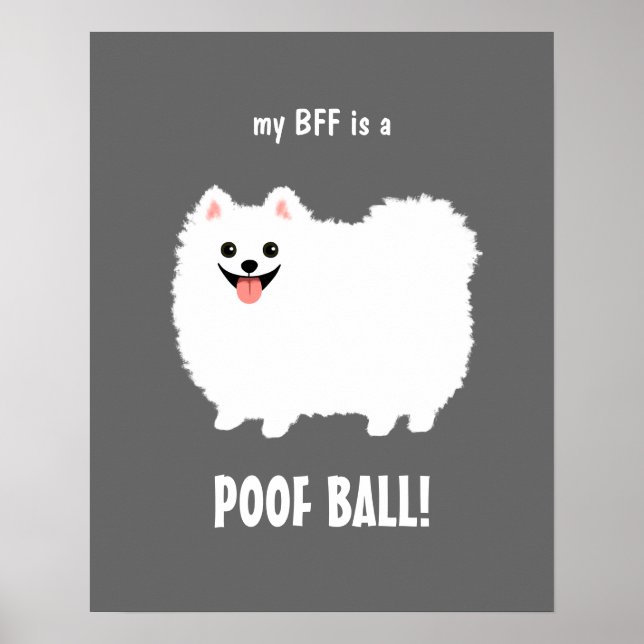 Meine BESTE FREUNDIN ist ein POOF-BALL-Spitz - ind Poster (Vorne)