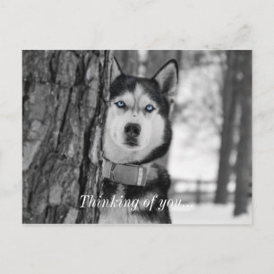 Meine blauen Augen denken an dich Postkarte