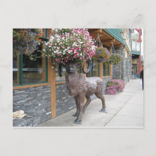 Meine Blume Hat Postkarte