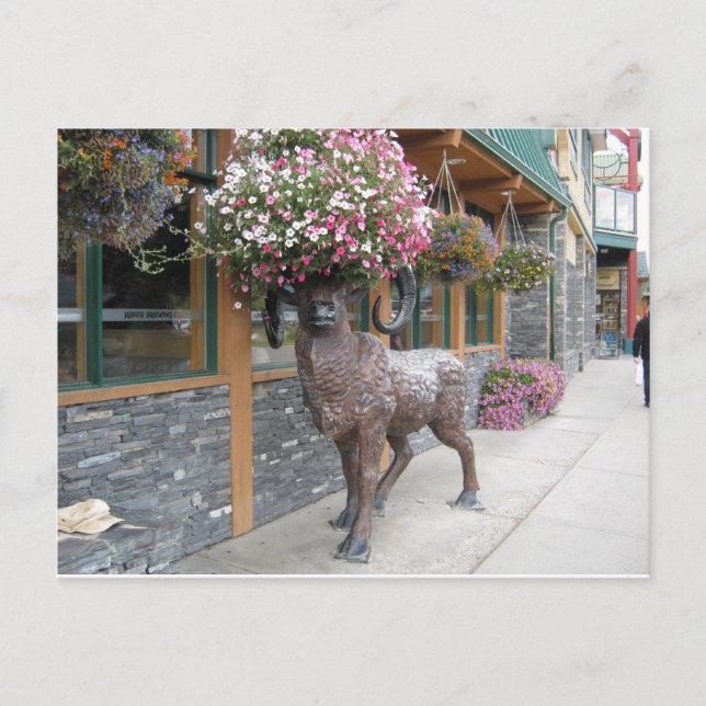 Meine Blume Hat Postkarte (Vorderseite)