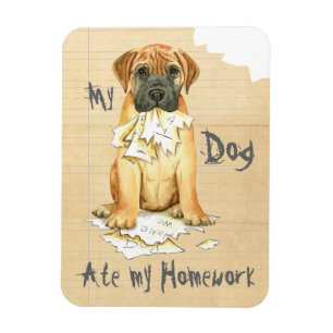 Meine Bullmastiff Ate Meine Hausaufgaben Magnet