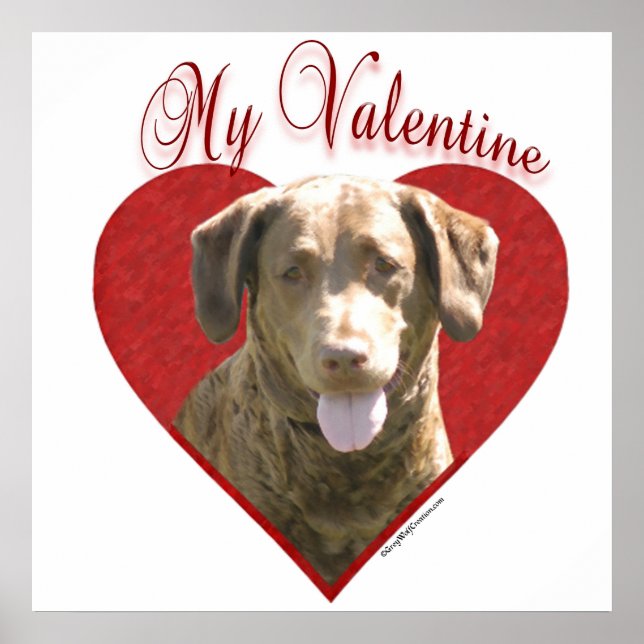 Meine Chessie Valentine Poster (Vorne)