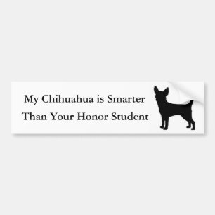 Meine Chihuahua sind intelligenter Autoaufkleber