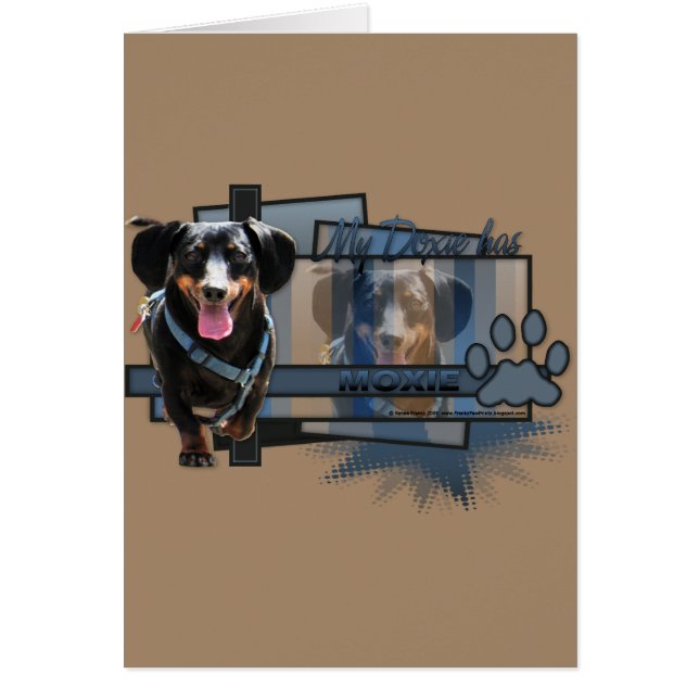 Meine Dackel hat Moxie (Vorne)