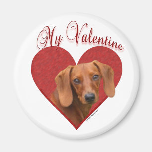Meine Dackel Valentine Magnet