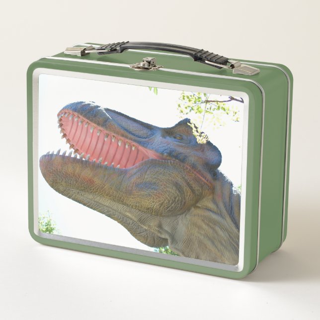 Meine Dinosaurier Metall Brotdose (Vorderseite)
