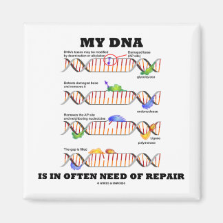 Meine DNA ist oft reparaturbedürftig (DNA-Spaß) Magnet