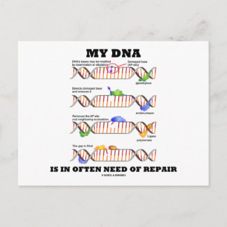 Meine DNA ist oft reparaturbedürftig (DNA-Spaß) Postkarte
