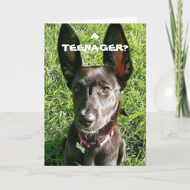 MEINE "EARS" SICHERHEIT GEHT IN DIE HAND "13. GEBU KARTE (Vorderseite)