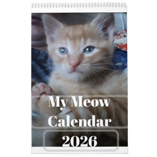 Meine eigenen Katzenfoto-Zitate anpassen Spaß Kalender