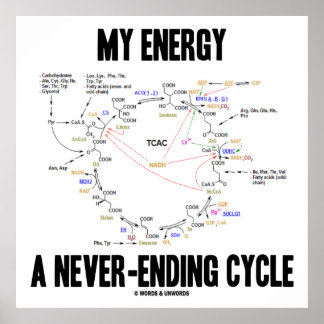 Meine Energie ist ein nie endender Zyklus (Krebs-Z Poster
