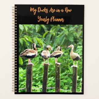 Meine Enten sind in einer Reihe Jahre geplant Planer
