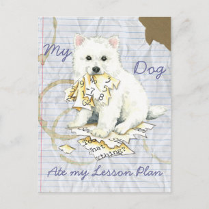 Meine Eskie Ate My Lessingplan Postkarte