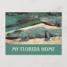 Meine Florida Zuhause Gator Postkarte