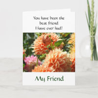Meine Freunde Karten Bester Freund Ich hatte je ei