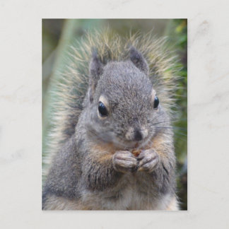 Meine Freundin Fuzzy Postcard Postkarte