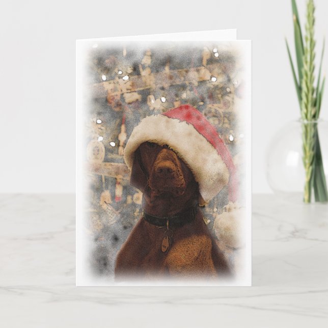 Meine frohen Weihnachten Vizsla (Vorderseite)