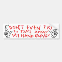 Meine Handgewehre