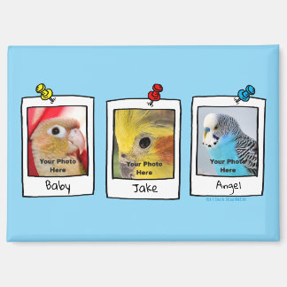 Meine Haustiervögel Retro-Fotocollage Magnet