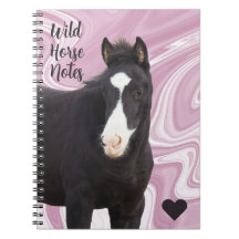 Meine Hinweise zum Wilden Pferd
