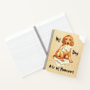 Meine irische Setter Ate meine Hausaufgaben Notizbuch