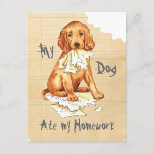 Meine irische Setter Ate meine Hausaufgaben Postkarte