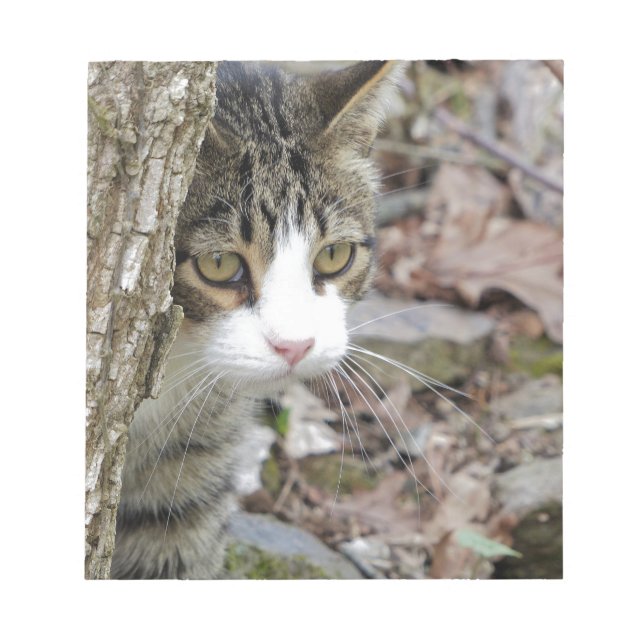 Meine Jagdkatze Notizblock (Vorderseite)