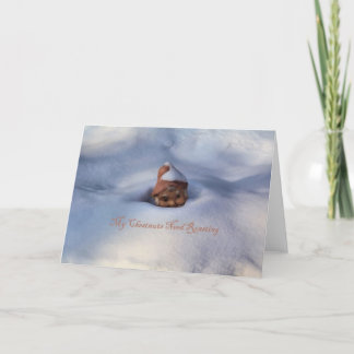 Meine Kastanien-Bedarfs-Röstung Feiertagskarte