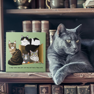 Meine Katze hat Katzen Fliese