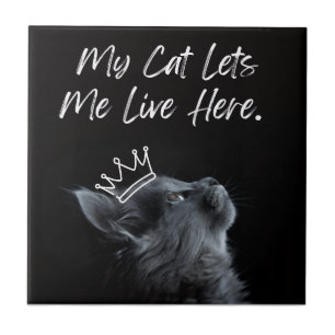 Meine Katze lässt mich hier wohnen Fliese