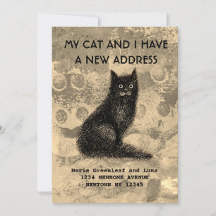 Meine Katze und ich haben die Ankündigung verschob