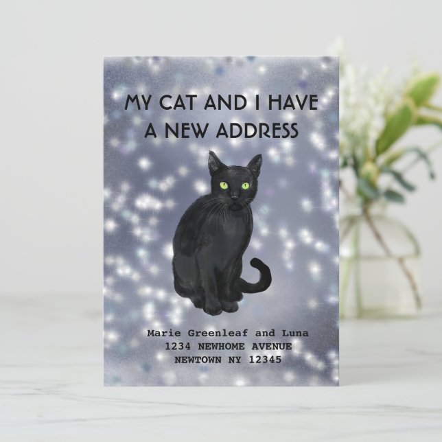 Meine Katze und ich haben die Ankündigung verschob (Stehend Vorderseite)