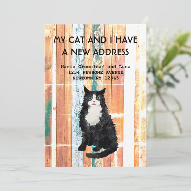 Meine Katze und ich haben die Ankündigung verschob (Stehend Vorderseite)