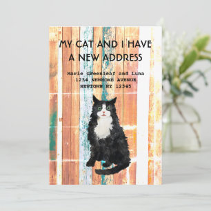 Meine Katze und ich haben die Ankündigung verschob