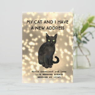 Meine Katze und ich haben die Ankündigung verschob