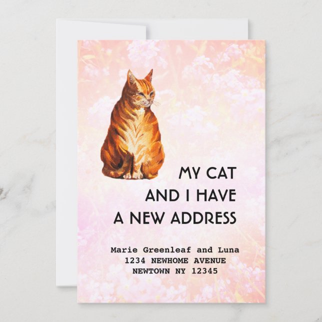 Meine Katze und ich haben die Ankündigung verschob (Vorderseite)