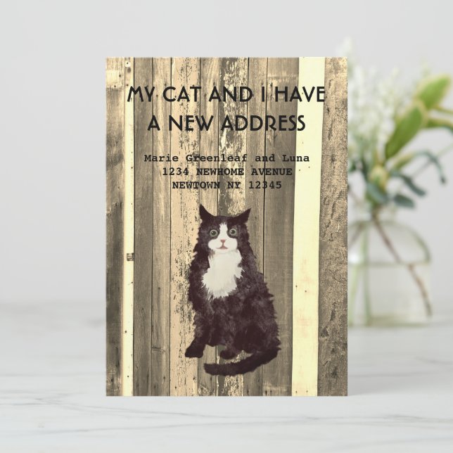 Meine Katze und ich haben die Ankündigung verschob (Stehend Vorderseite)