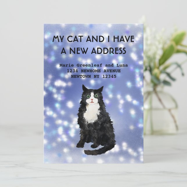 Meine Katze und ich haben die Ankündigung verschob (Stehend Vorderseite)