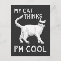 Meine Katzen denken, ich bin Cool Feline mit Sonne