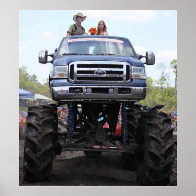 Meine Kätzin 7 Poster (Vorne)