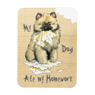 Meine Keeshond Ate meine Hausaufgaben Magnet
