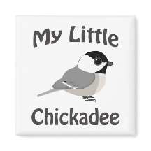 Meine kleine Chickadee